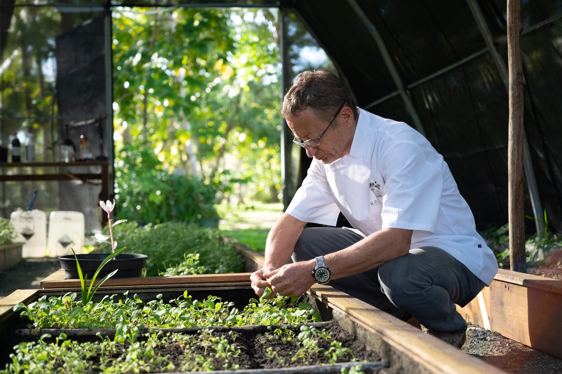 Motu Nao Nao Private Island